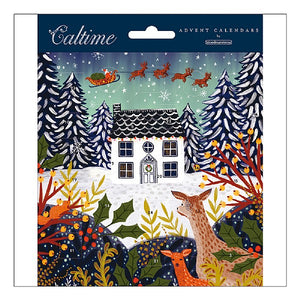 Mini advent calendar card with envelope - Wildlife and Santa