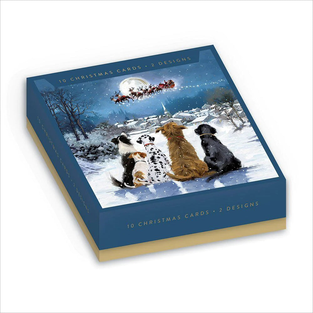 10 Chistmas Cards - 2 designs-