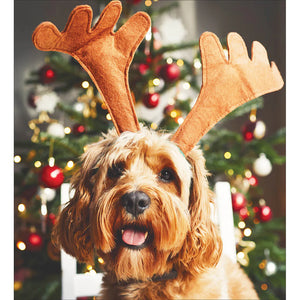 Pack of 5 -  Proceeds go to British Heart Foundation, Age UK, Marie Curie and Mind- Merry Woofmas