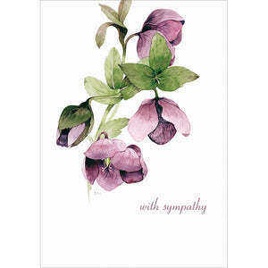 With Sympathy - The Alresford Gift Shop