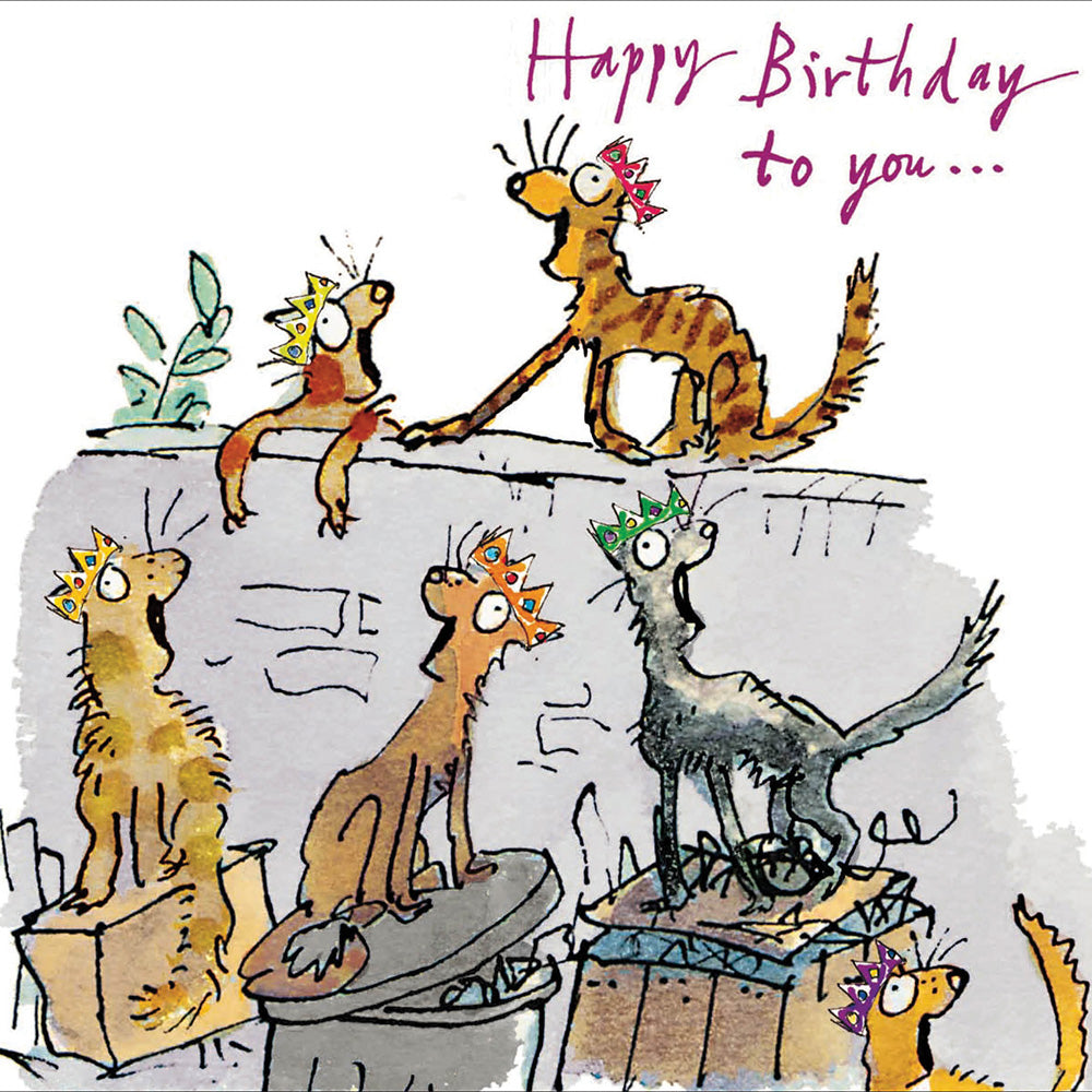 Quentin Blake cats - The Alresford Gift Shop