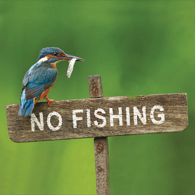 No fishing - The Alresford Gift Shop