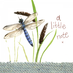 Little note dragonfly - The Alresford Gift Shop