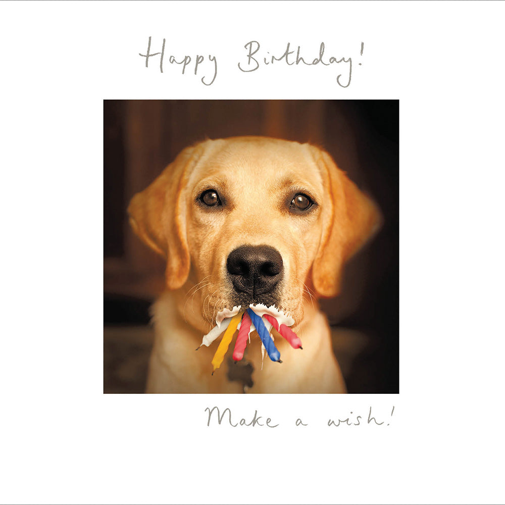 Happy Birthday - Make a wish!!