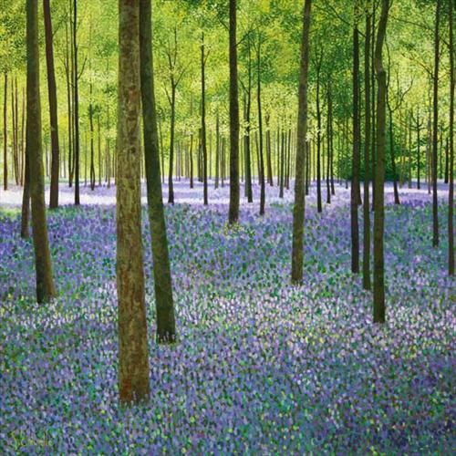 Bluebell Wood by Susan Entwistle