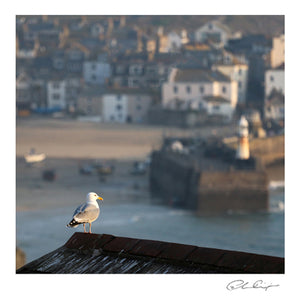 Overlooking St Ives