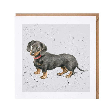 Wrendale  dachshund - The Alresford Gift Shop
