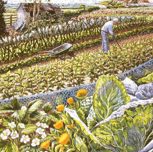 Blooming Vegetables by Cath Read ( pastel on paper) - The Alresford Gift Shop