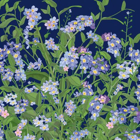 Forget-me-nots by Mig Wyeth - The Alresford Gift Shop