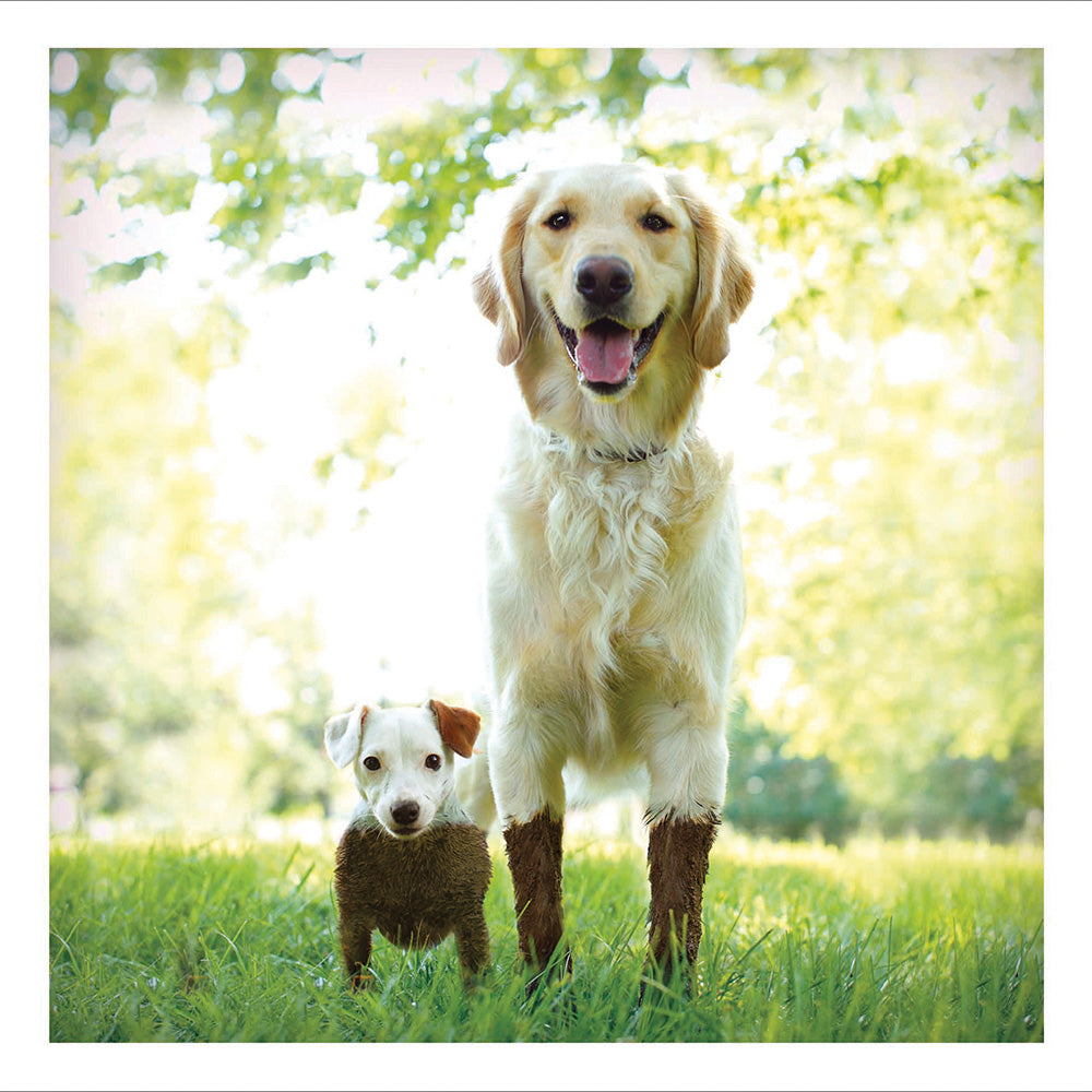 Mud and Muck - The Dirty Duo - blank greeting card with dogs, Loose Leashes range