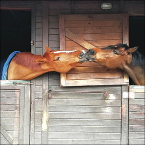 Neigh-bours