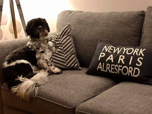 New York Paris Alresford cushion - The Alresford Gift Shop
