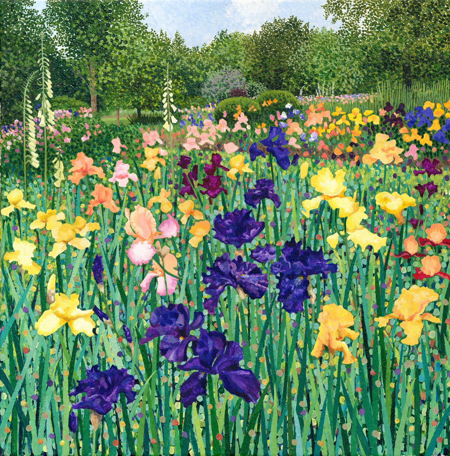 Irises by Susan Entwistle