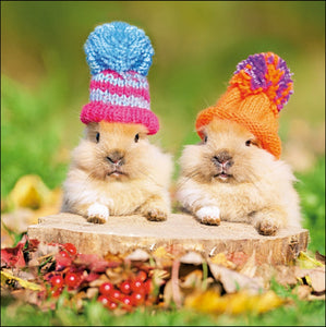 Peekaboo - greeting card -guinea pigs in woolly hats